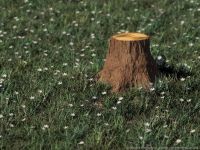 Image 06