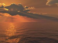 Image 04